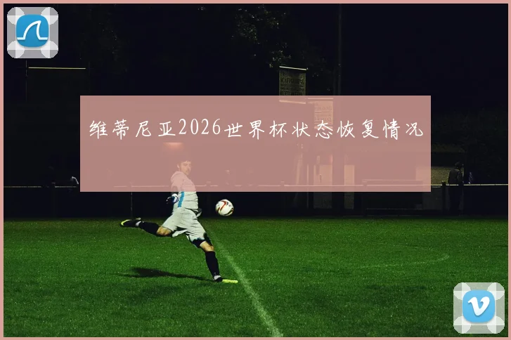 维蒂尼亚2026世界杯状态恢复情况