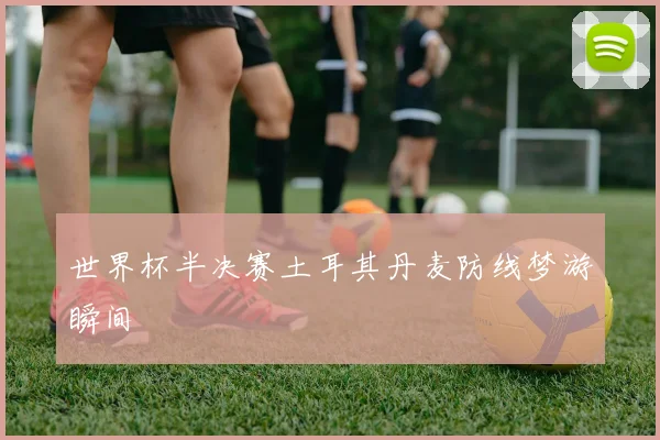 世界杯半决赛土耳其丹麦防线梦游瞬间