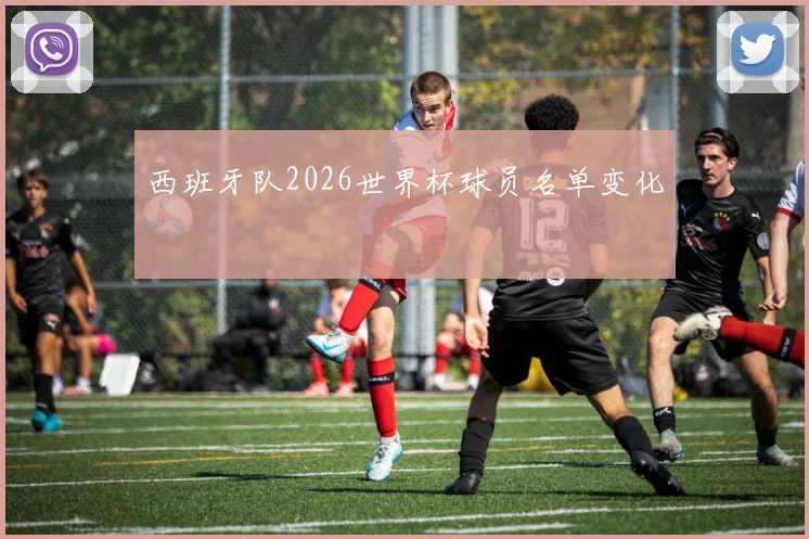 西班牙队2026世界杯球员名单变化