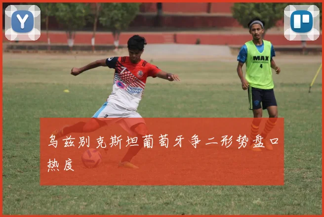 乌兹别克斯坦葡萄牙争二形势盘口热度