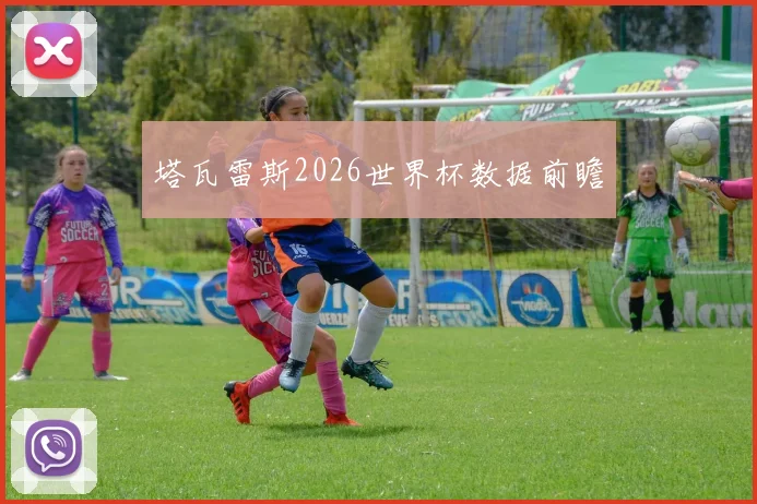 塔瓦雷斯2026世界杯数据前瞻