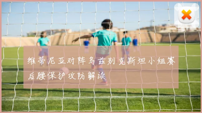 维蒂尼亚对阵乌兹别克斯坦小组赛后腰保护攻防解读