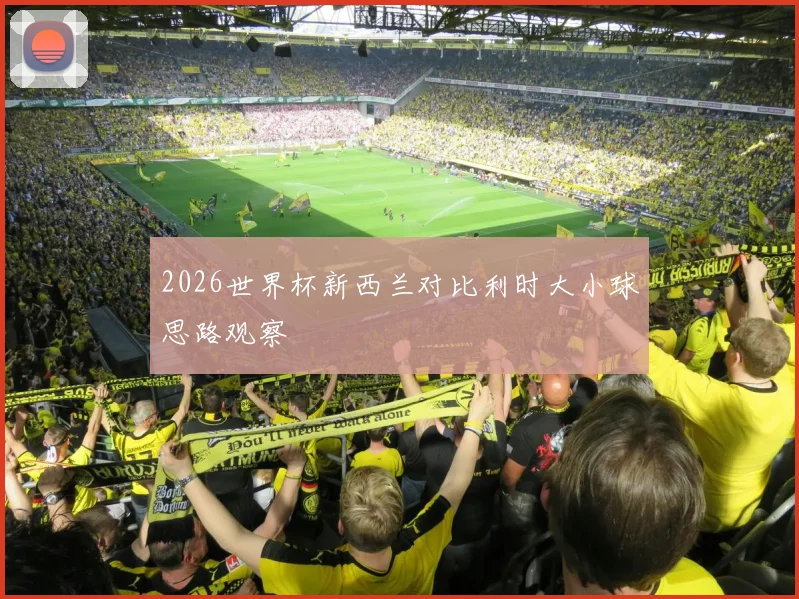 2026世界杯新西兰对比利时大小球思路观察